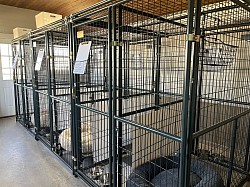 Indoor climate controlled kennels