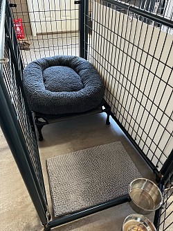 Cozy, clean, safe kennels