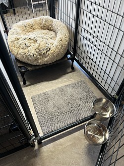 Spacious and roomy separate kennels